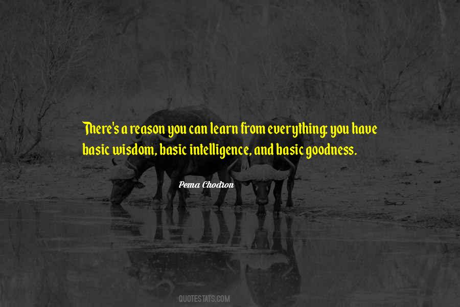 Learn Everything You Can Quotes #1091785 Learn Everything You Can Quotes #1091785