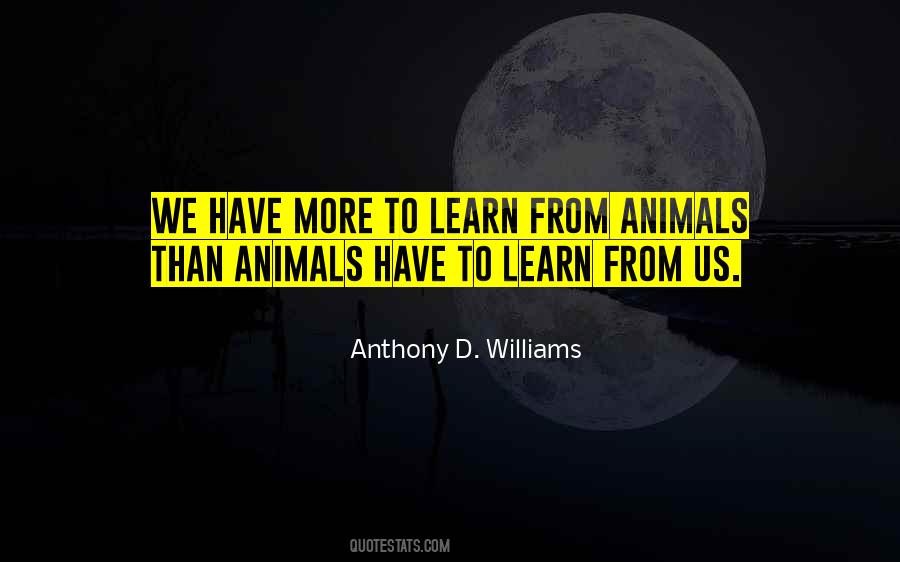 Learn From Animals Quotes #1286428