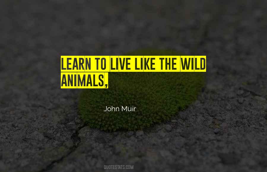 Learn From Animals Quotes #1836806