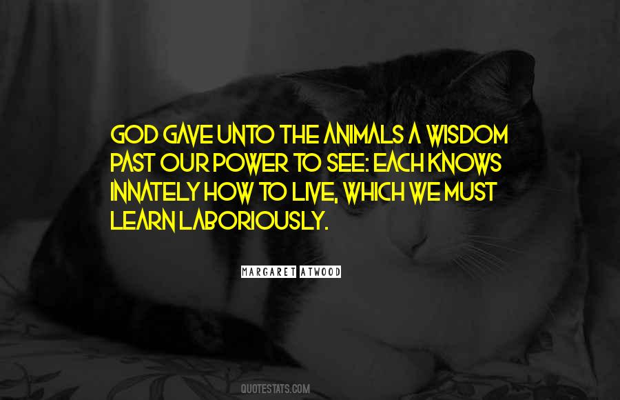 Learn From Animals Quotes #481144