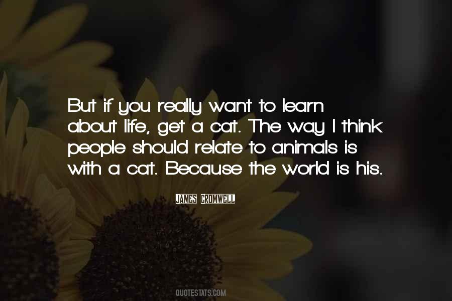 Learn From Animals Quotes #525533