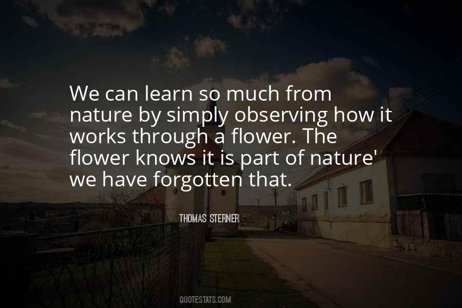 Learn From Nature Quotes #1703121