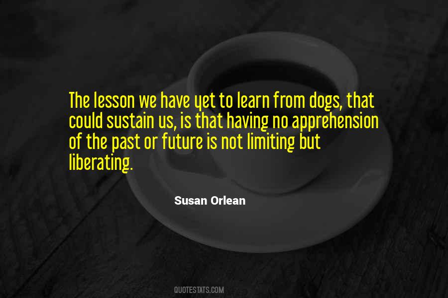 Learn From Past Quotes #451025