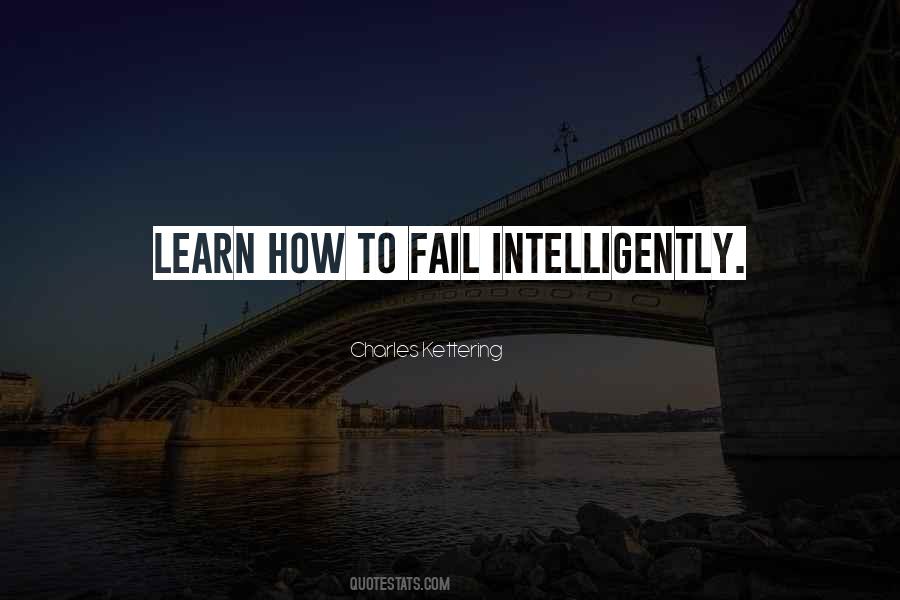 Learn Through Failure Quotes #513917