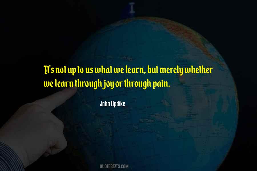 Learn Through Pain Quotes #461574