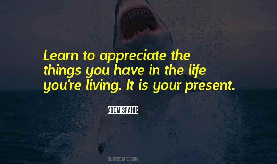 Learn To Appreciate Life Quotes #69860