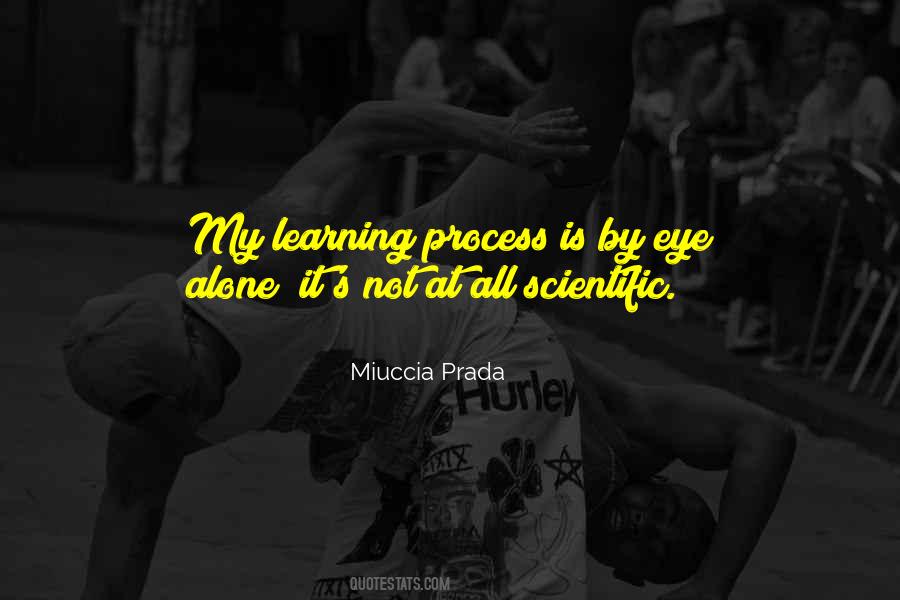 Learning Process Quotes #1461245