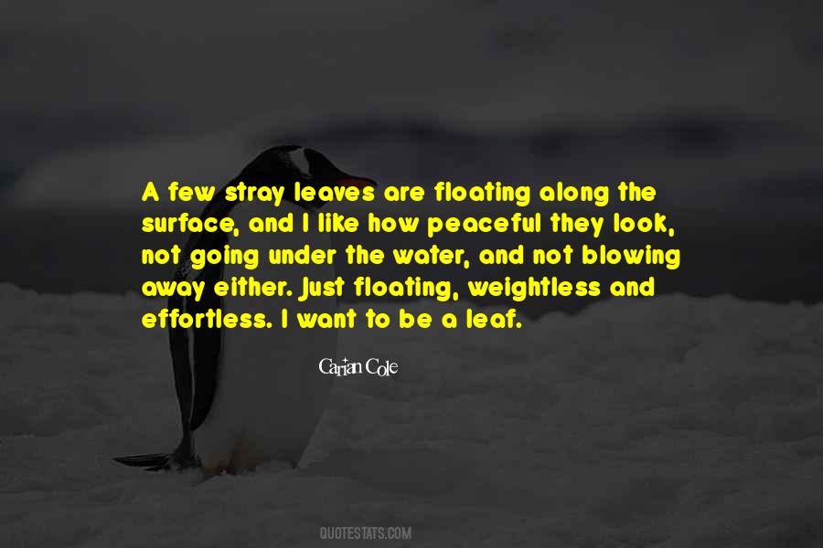 Leaves And Water Quotes #31522