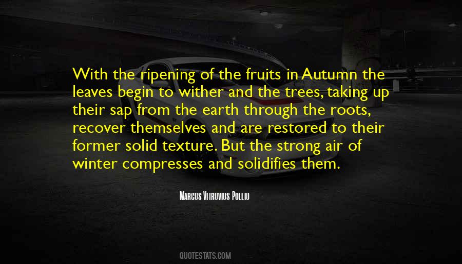 Leaves In Autumn Quotes #1837850
