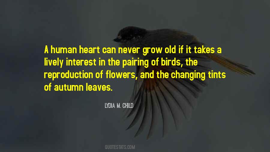 Leaves In Autumn Quotes #638890