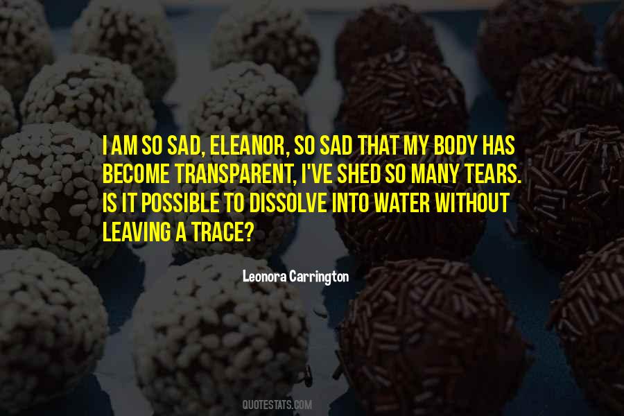 Leaving A Trace Quotes #975089
