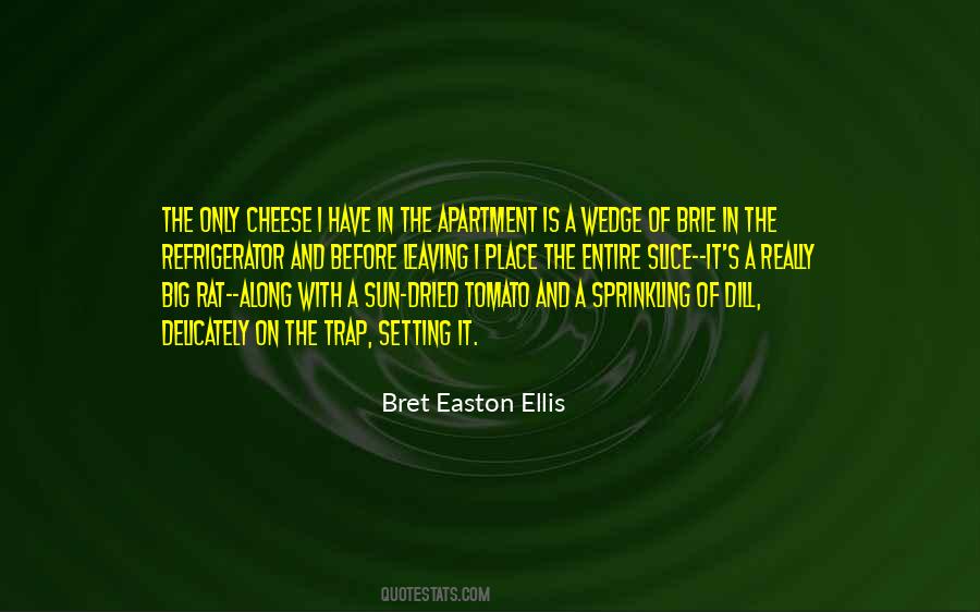 Leaving Place Quotes #476242