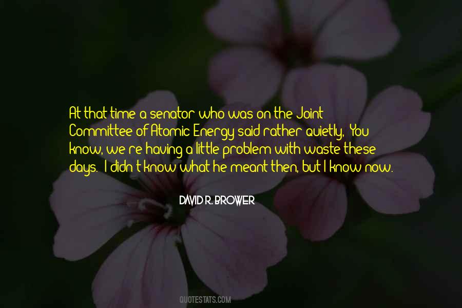 Lee Brower Quotes #1016859