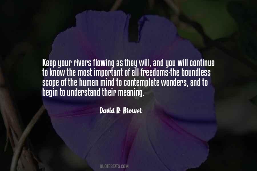 Lee Brower Quotes #508380