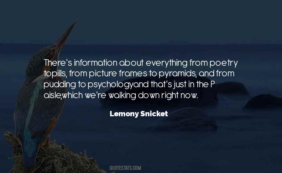 Lemony Snicket's Quotes #1552990