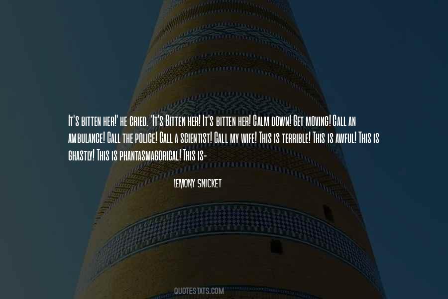 Lemony Snicket's Quotes #79092