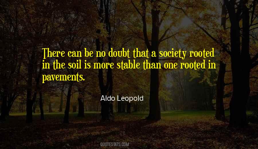 Leopold Quotes #158203