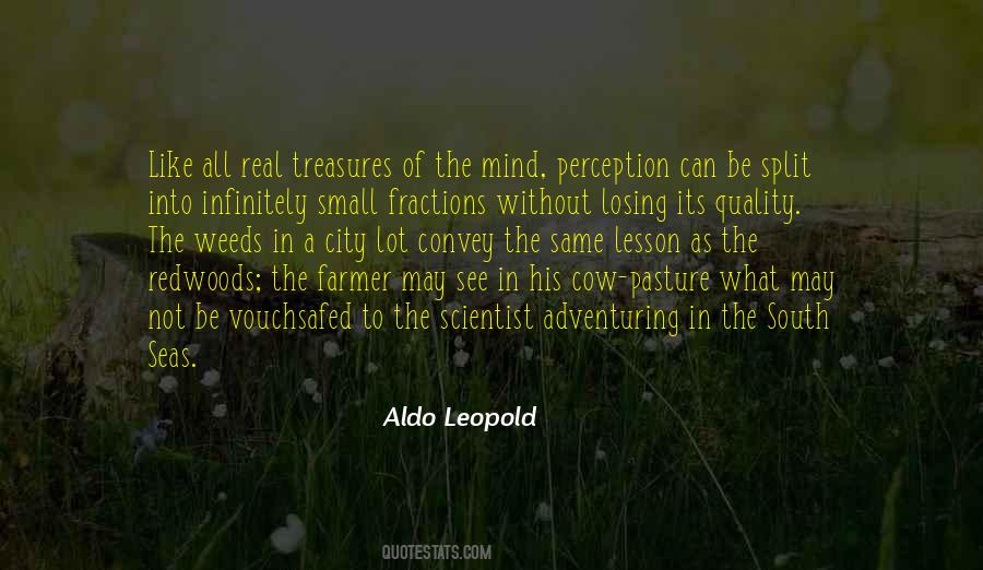 Leopold Quotes #210877