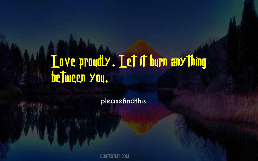 Let It Burn Quotes #1476108