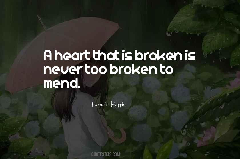 Let Me Mend Your Broken Heart Quotes #1568593