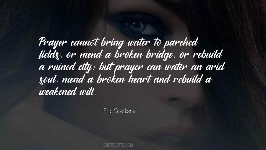Let Me Mend Your Broken Heart Quotes #1607989