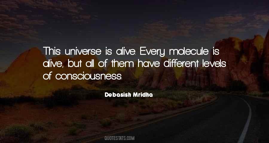 Levels Of Consciousness Quotes #1318742