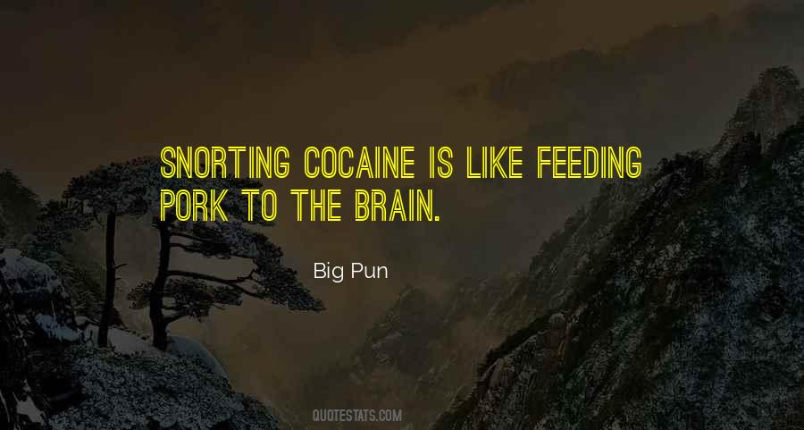 Quotes About Doing Cocaine #107289
