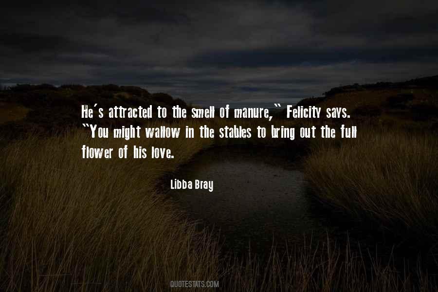 Libba Bray Love Quotes #1146869