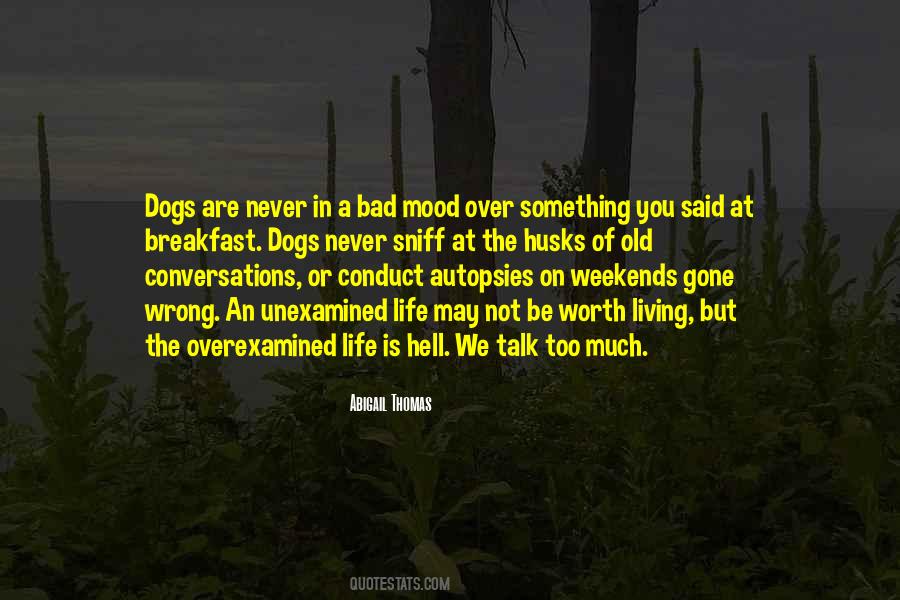 Quotes About Dogs Life #501605