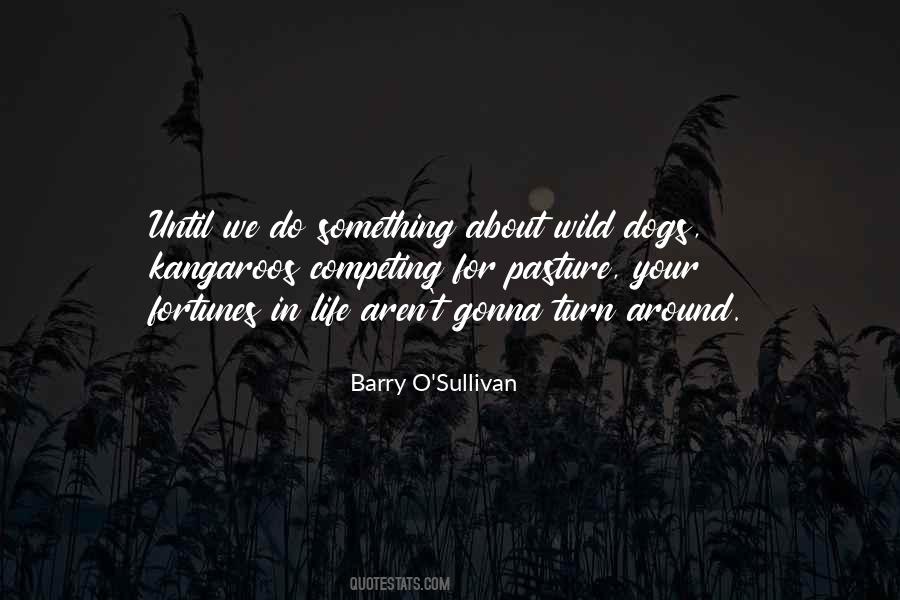 Quotes About Dogs Life #700022