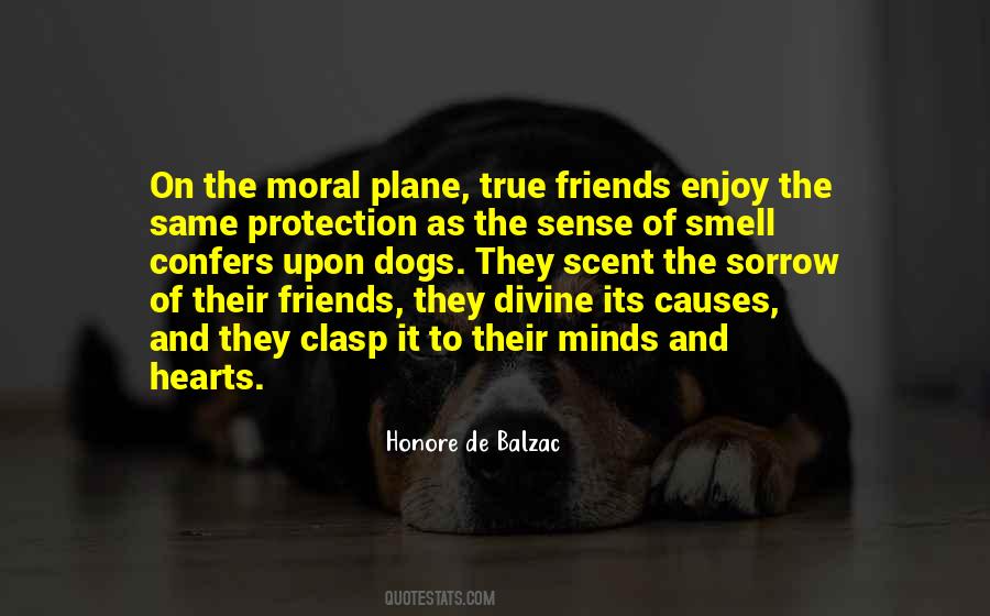 Quotes About Dogs Friends #741282