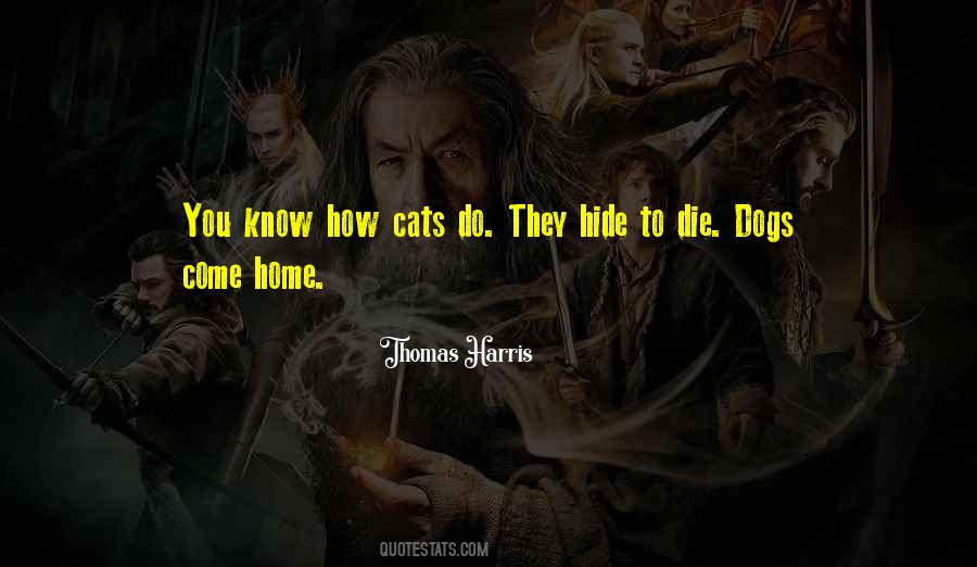 Quotes About Dogs Death #99228
