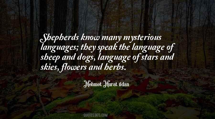Quotes About Dogs And Flowers #83007