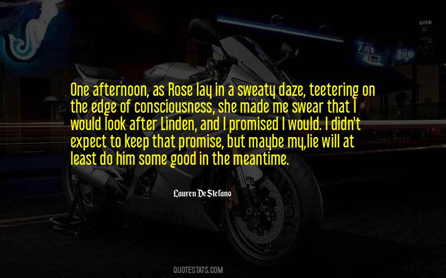 Lie After Lie Quotes #668139