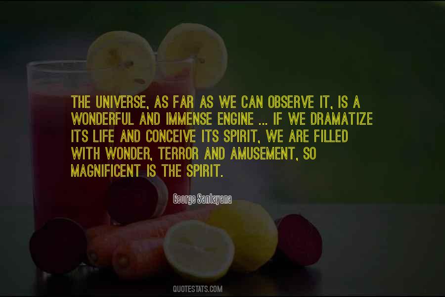 Life Amusement Quotes #1159271