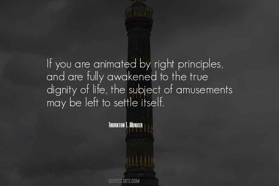 Life Amusement Quotes #569346