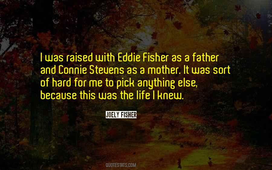 Life As A Mother Quotes #808698