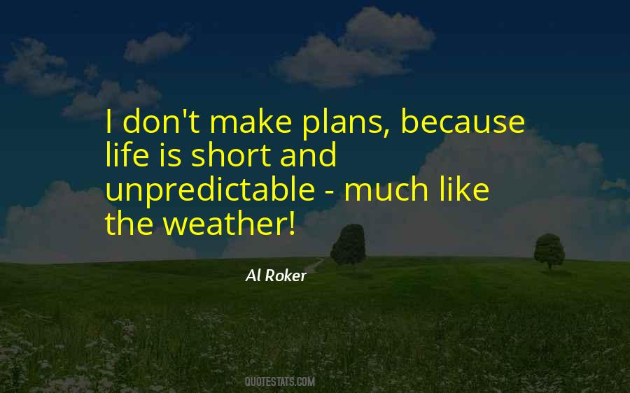 Life Can Be So Unpredictable Quotes #446543