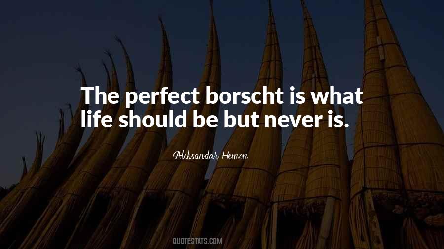 Life Can Never Be Perfect Quotes #317025