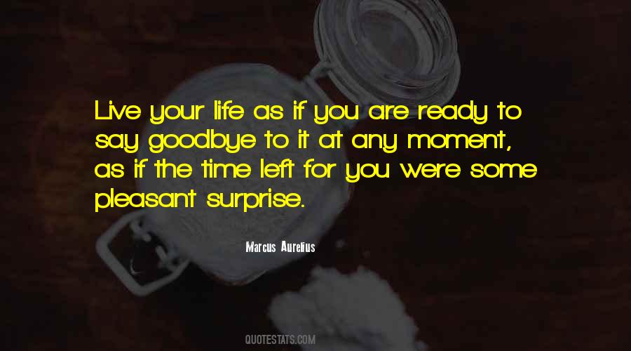 Life Can Surprise You Quotes #109866