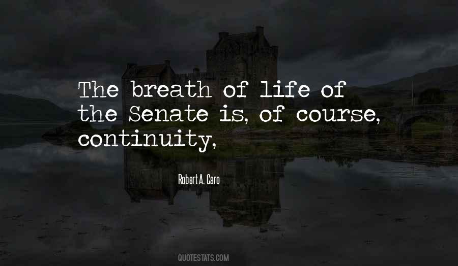 Life Continuity Quotes #670336