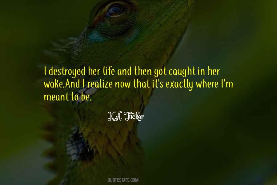 Life Destroyed Quotes #1072941