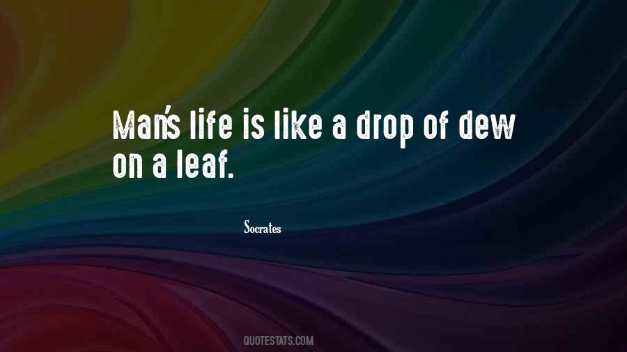 Life Drop Quotes #424435