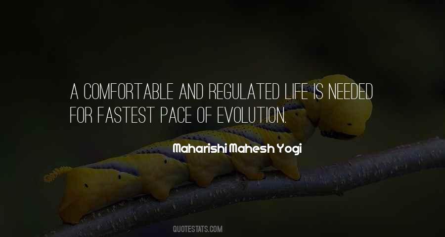 Life Evolution Quotes #451948