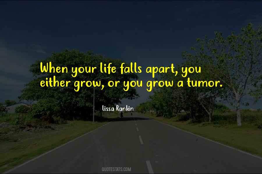 Life Falls Apart Quotes #1293213