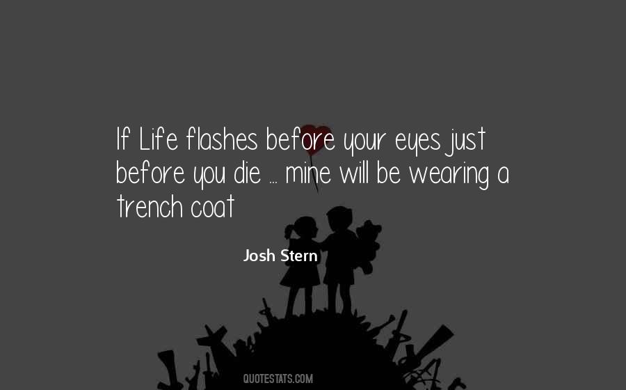 Life Flashes Quotes #929052