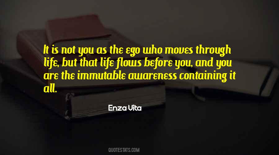 Life Flows Quotes #1677865