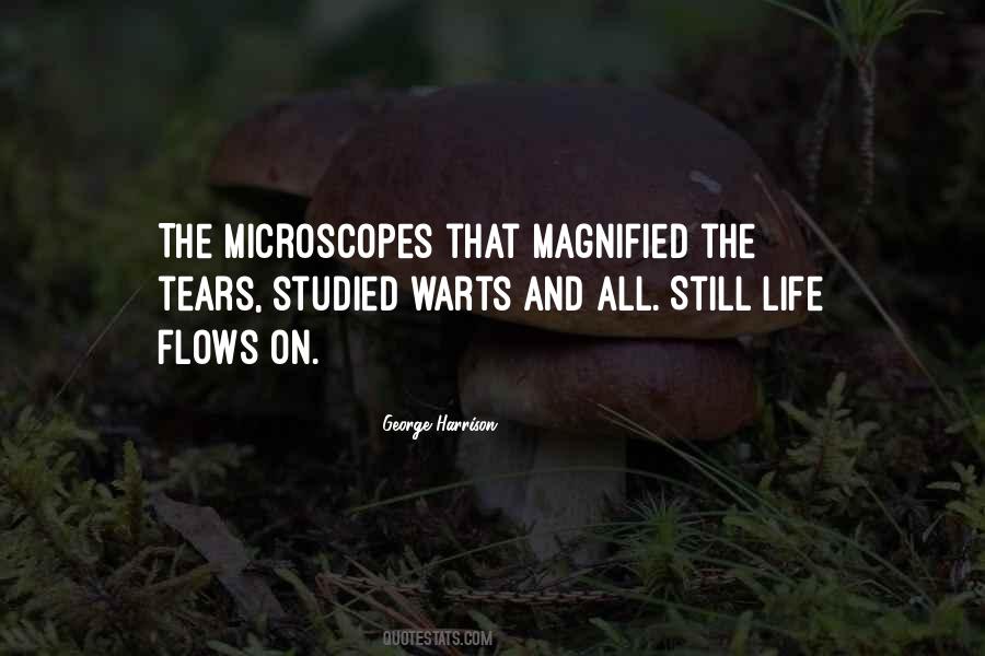 Life Flows Quotes #1811852
