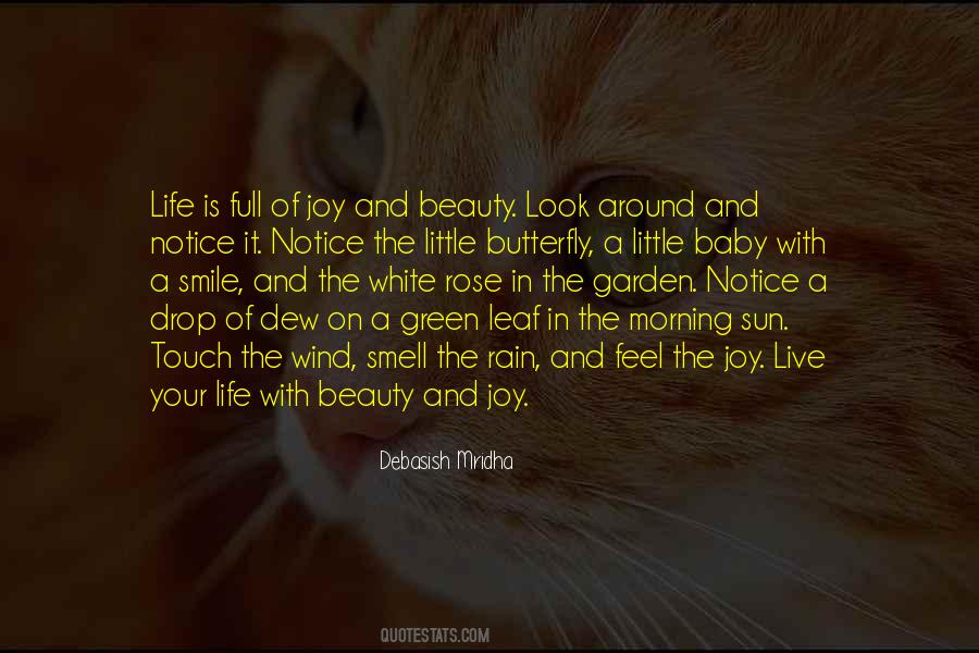 Life Full Joy Quotes #1842014