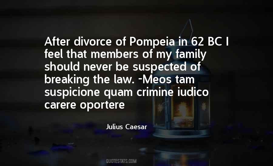Quotes About Divorce Family #1670826
